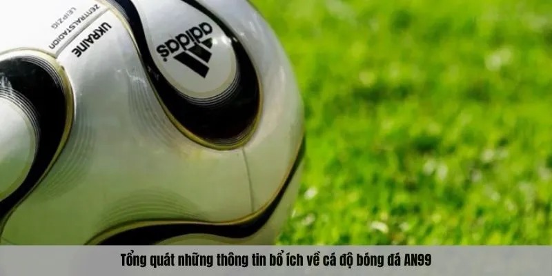 Tổng quát những thông tin bổ ích về cá độ bóng đá AN99