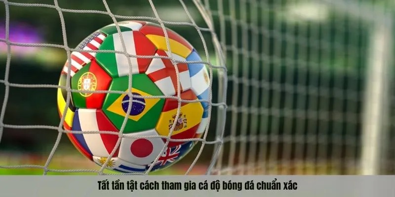Tất tần tật cách tham gia cá độ bóng đá chuẩn xác