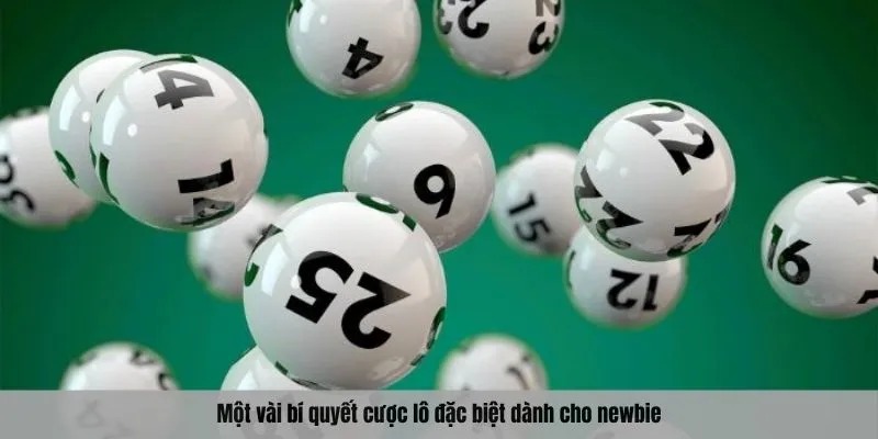 Một vài bí quyết cược lô đặc biệt dành cho newbie