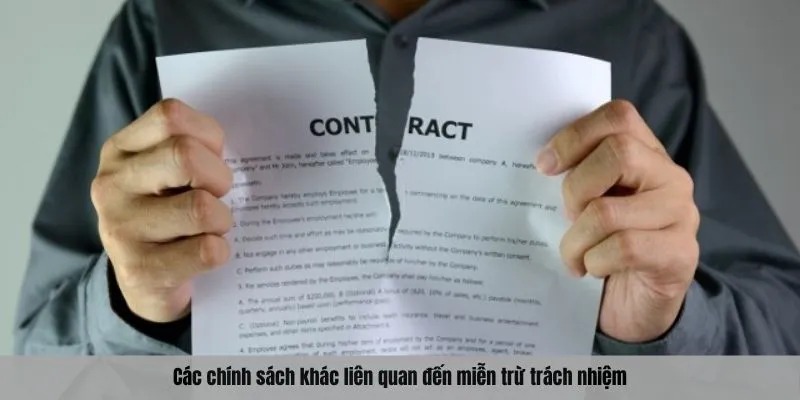 Các chính sách khác liên quan đến miễn trừ trách nhiệm